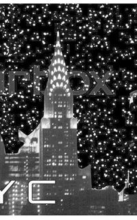 Cover image for New York City space Chrysler Building