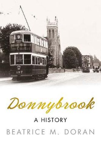 Cover image for Donnybrook: A History
