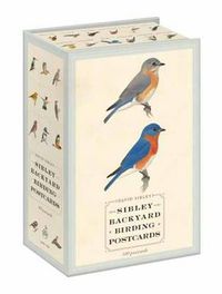 Cover image for Sibley Backyard Birding Postcards