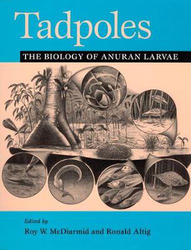 Cover image for Tadpoles: The Biology of Anuran Larvae