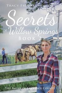 Cover image for Secrets of Willow Springs - Book 2: The Amish of Lawrence County