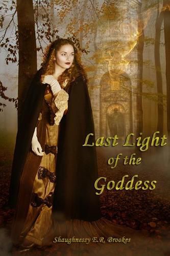 Cover image for Last Light of the Goddess