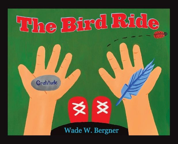 Cover image for The Bird Ride