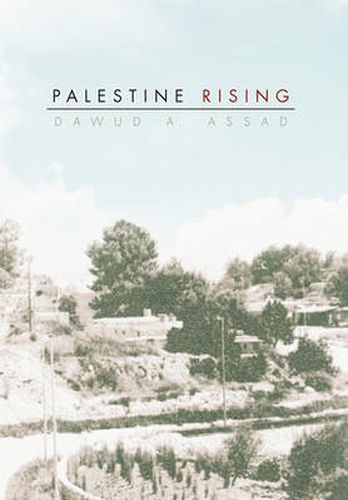 Cover image for Palestine Rising