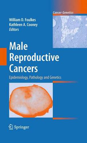 Cover image for Male Reproductive Cancers: Epidemiology, Pathology and Genetics