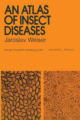 Cover image for An Atlas of Insect Diseases