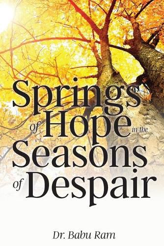 Cover image for Springs of Hope in the Seasons of Despair