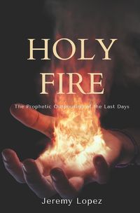 Cover image for Holy Fire