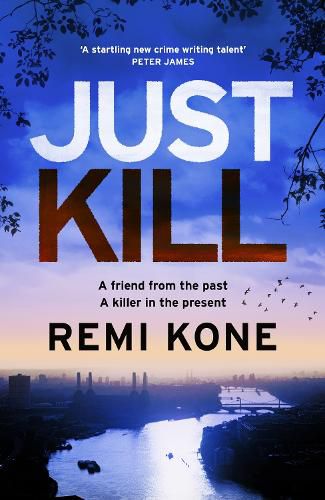 Cover image for Just Kill