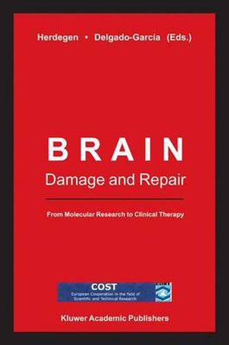 Cover image for Brain Damage and Repair: From Molecular Research to Clinical Therapy