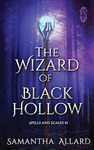 Cover image for The Wizard of Black Hollow