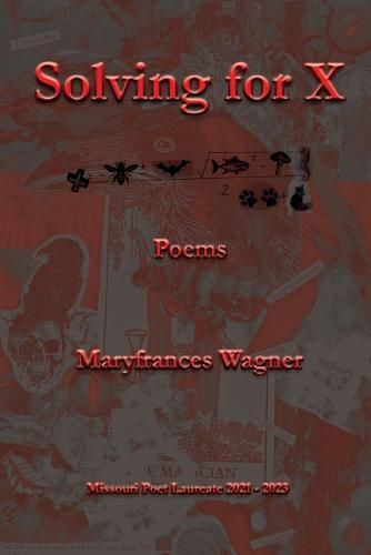 Cover image for Solving for X