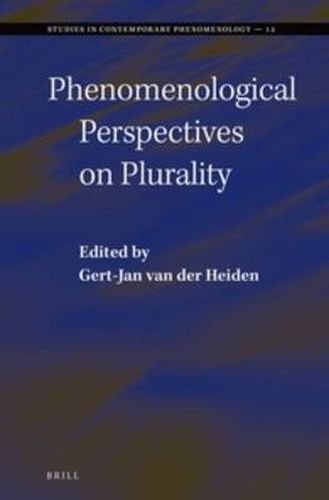 Cover image for Phenomenological Perspectives on Plurality