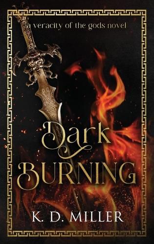 Cover image for Dark Burning
