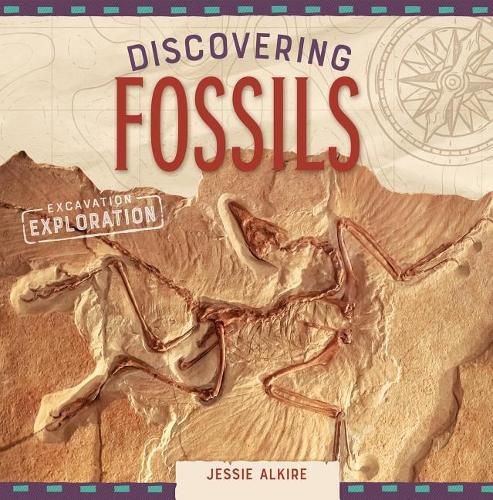 Discovering Fossils