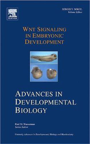 Cover image for Wnt Signaling in Embryonic Development