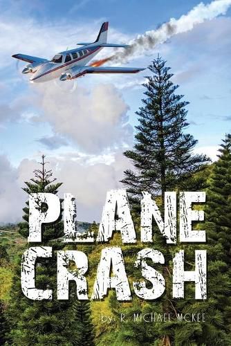 Cover image for Plane Crash