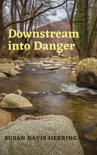 Downstream into Danger