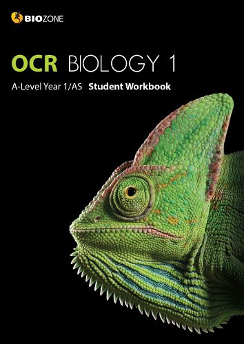 Cover image for OCR Biology 1 A-Level/AS Student Workbook