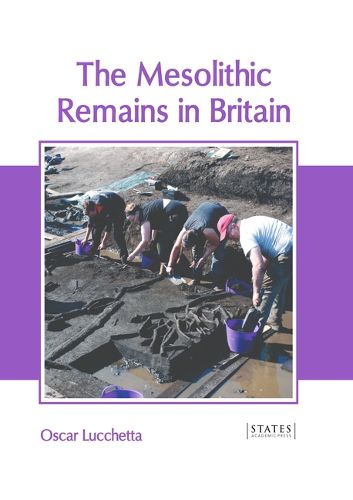 Cover image for The Mesolithic Remains in Britain