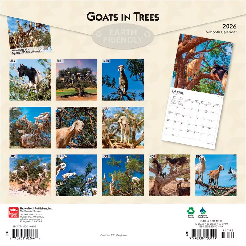 Goats in Trees 2026 Wall Calendar