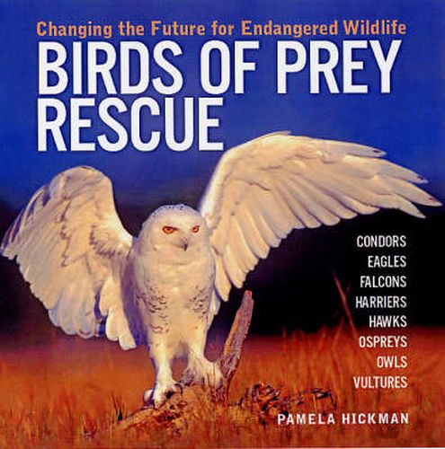 Cover image for Birds of Prey Rescue: Changing the Future for Endangered Wildlife