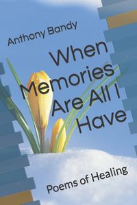 Cover image for When Memories Are All I Have