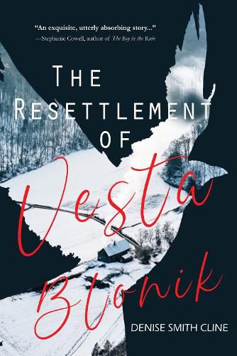 Cover image for The Resettlement of Vesta Blonik