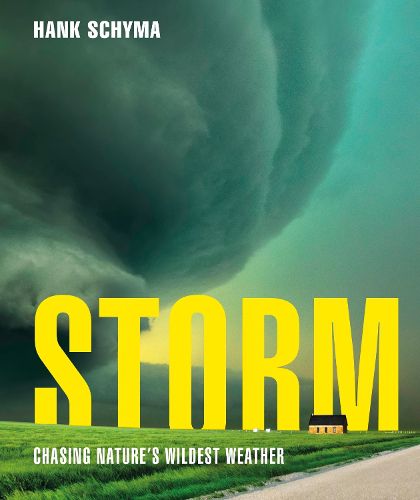 Cover image for Storm