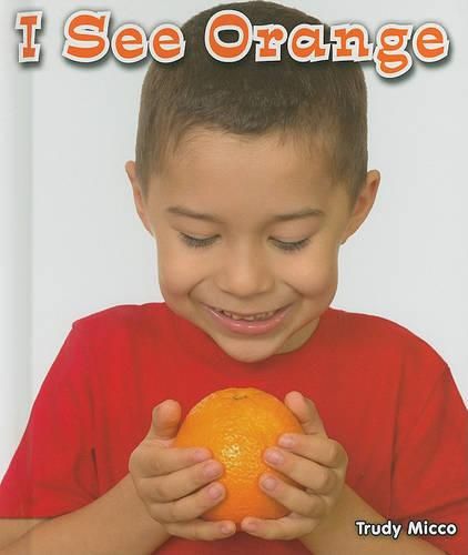 Cover image for I See Orange