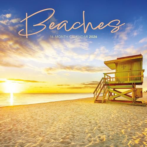 Cover image for Beaches
