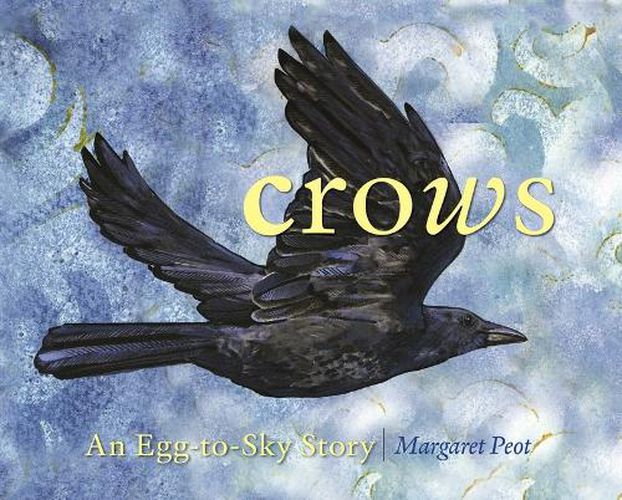 Cover image for Crows
