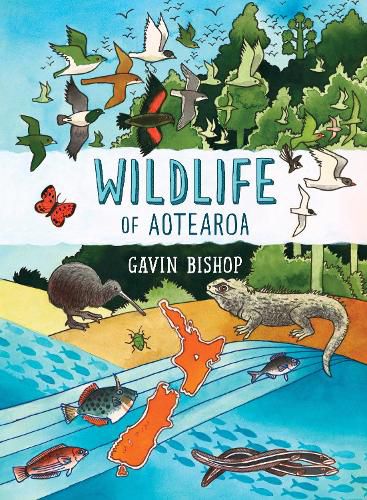 Cover image for Wildlife of Aotearoa