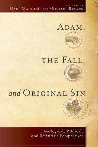 Cover image for Adam, the Fall, and Original Sin - Theological, Biblical, and Scientific Perspectives