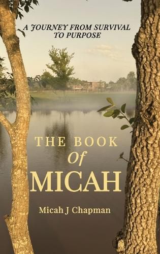 Cover image for The Book of Micah