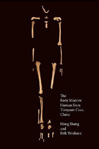 Cover image for The Early Modern Human from Tianyuan Cave, China