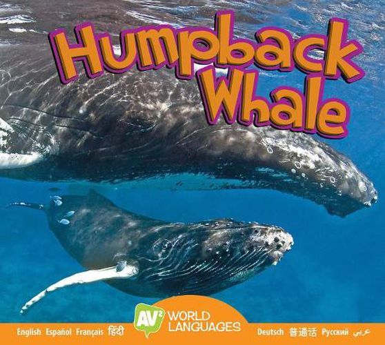 Cover image for Humpback Whale