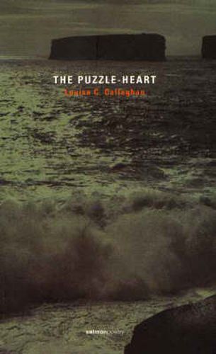 Cover image for Puzzle-heart