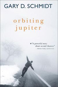 Cover image for Orbiting Jupiter