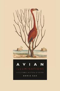 Cover image for Avian Illuminations: A Cultural History of Birds