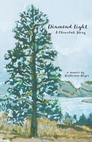 Cover image for Diamond Light: A Chewelah Story