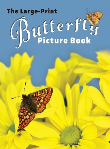 Cover image for The Large-Print Butterfly Picture Book