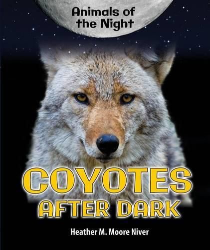 Cover image for Coyotes After Dark