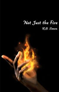 Cover image for Not Just the Fire