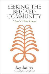Cover image for Seeking the Beloved Community: A Feminist Race Reader