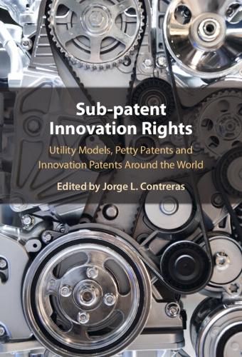 Cover image for Sub-patent Innovation Rights