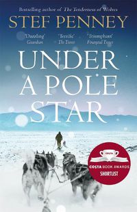 Cover image for Under a Pole Star