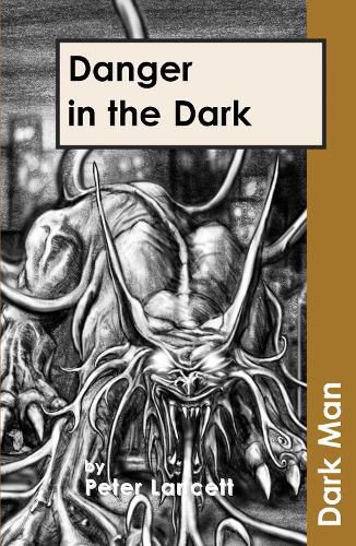 Cover image for Danger in the Dark