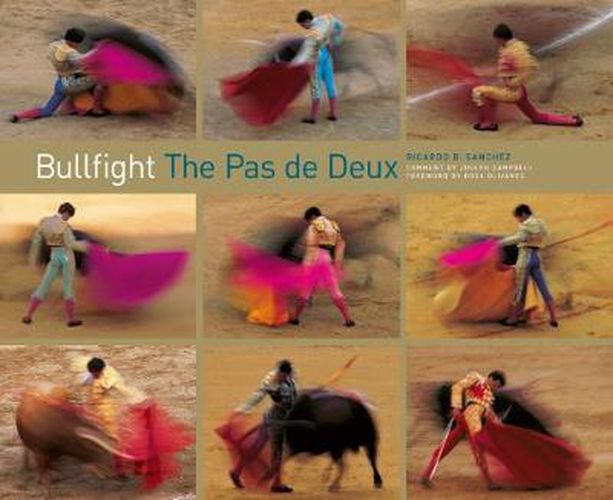 Cover image for Bullfight: Paintings and Works on Paper