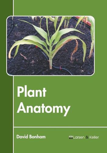 Cover image for Plant Anatomy